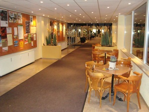 Hohegeiss_Impressionen_ 13.01 (65).JPG